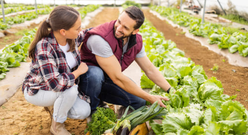 Compromiso con la alimentación sostenible 