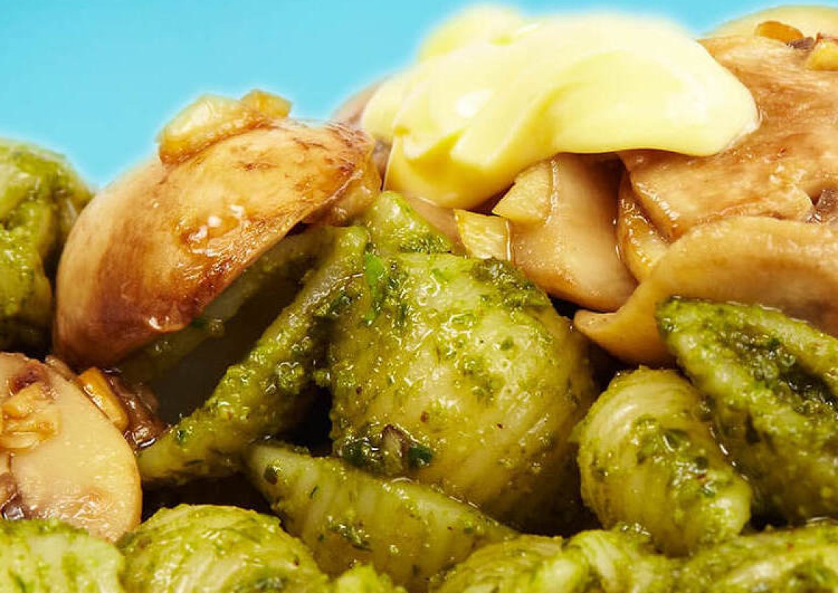 Banner_conchas_albahaca_champinones